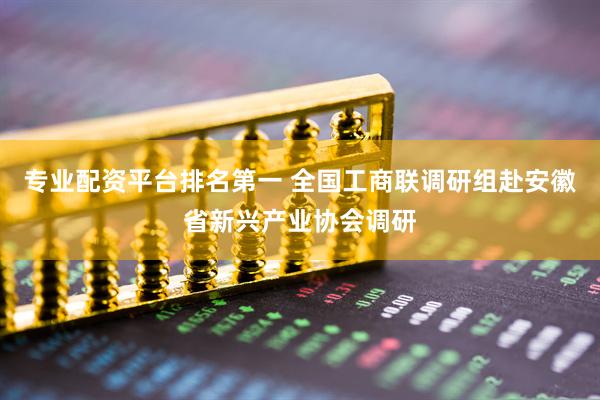 专业配资平台排名第一 全国工商联调研组赴安徽省新兴产业协会调研