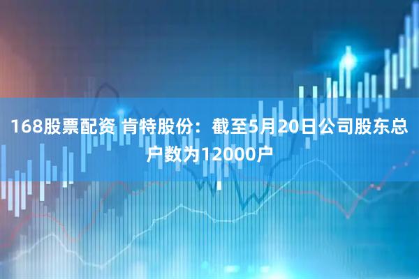 168股票配资 肯特股份：截至5月20日公司股东总户数为12000户