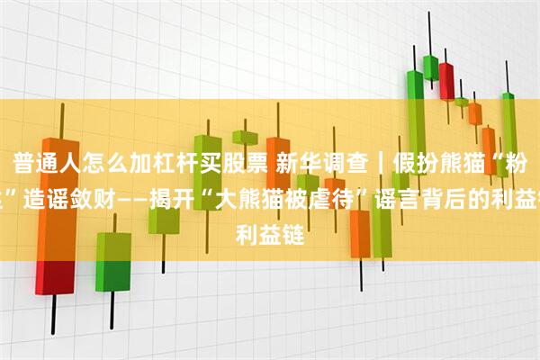 普通人怎么加杠杆买股票 新华调查｜假扮熊猫“粉丝”造谣敛财——揭开“大熊猫被虐待”谣言背后的利益链